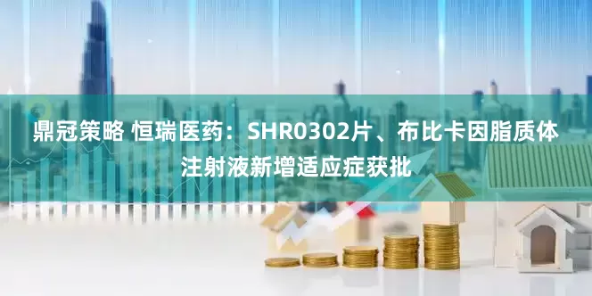鼎冠策略 恒瑞医药：SHR0302片、布比卡因脂质体注射液新增适应症获批